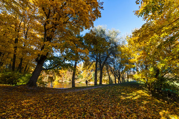 Spassko-Lutovinovo estate