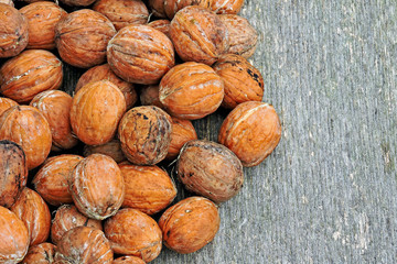 Fresh inshell walnuts. Walnut harvest