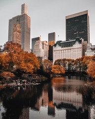 Central Park South Autumn