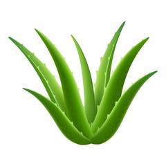 Aloe vera plant icon. Realistic illustration of aloe vera plant vector icon for web design isolated on white background - obrazy, fototapety, plakaty