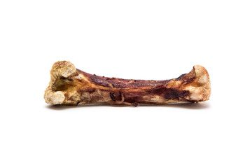 Gnawed chicken bones