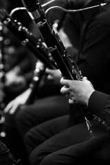 Fototapeta premium Bassoon in the hands of a musician in an orchestra in black and white closeup