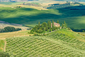 Landscape scenery early in the morning at Pienza in Val d’Orcia, Tuscany in Italy, with cypresses trees and green field with beautiful colors on summer day, travel destination in Europe