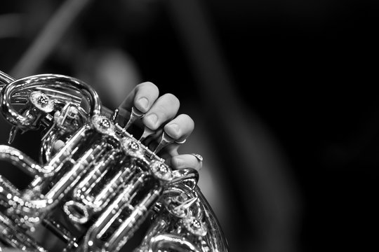 Musician's fingers playing the french horn in black and white
