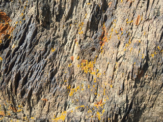 Stone texture with yellow lichen
