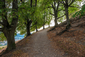 Path to the top of Ipf