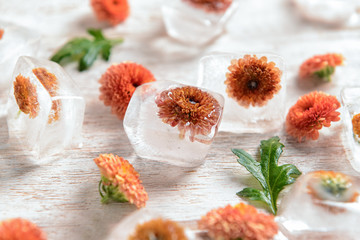 Beautiful flowers frozen in ice cubes on light wooden  background