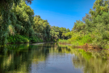 Fototapeta na wymiar Danube canal with green trees and vegetation 