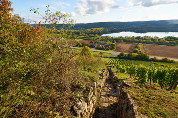 Weinberge und Mainaue im Abt-Degen-Weintal bei Ziegelanger, Ortsteil von Zeil am Main, Kreis Haßberge, Landkreis Hassberge, Unterfranken, Franken, Bayern, Deutschland.