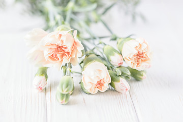 Obraz na płótnie Canvas Pastel carnation flowers on a light background. Copy space