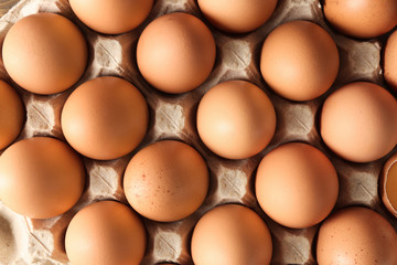 Raw chicken eggs in carton pack, top view