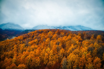 Two seasons - winter and autumn scene