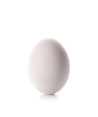 Raw chicken egg on white background