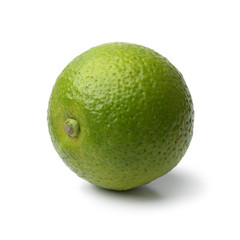Single fresh kabosu citrus fruit