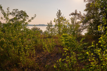 Natur am Geiseltalsee - einem ehemaligen Tagebau - in der Nähe von Merseburg, Sachsen-Anhalt,...