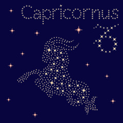 Zodiac sign Capricornus on the starry sky