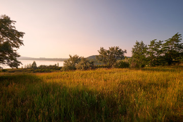 Natur am Geiseltalsee - einem ehemaligen Tagebau - in der Nähe von Merseburg, Sachsen-Anhalt,...