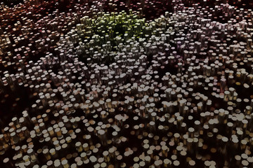 Background abstract shape composition, geometric structure block for design, graphic resource. Colorful 3D rendering.