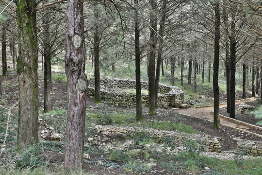 รูปภาพOvile เลือกดูภาพถ่ายสต็อก เวกเตอร์ และวิดีโอ216 Adobe Stock