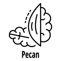 Pecan nut icon. Outline pecan nut vector icon for web design isolated on white background