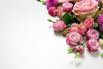 Beautiful pink flowers on white background