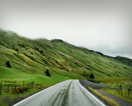 Road through the beautiful green scenery