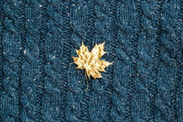 Gold leaf on a blue wool weaving background. Weaving textura.
