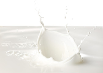 Splash of milk on white background