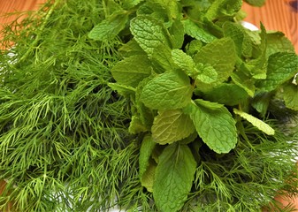 sprigs of fresh green dill and mint