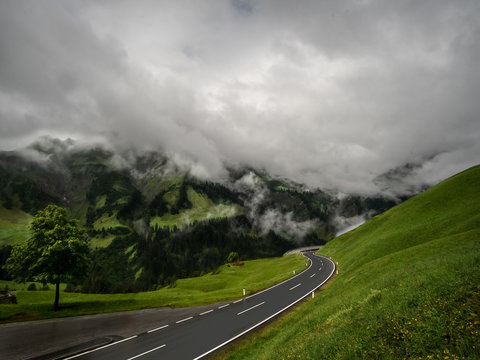 Road through the beautiful green scenery