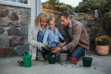 Family transplanting flowers