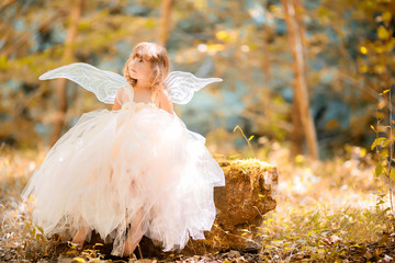 Fairy tale consept. Little toddler girl wearing beautiful princess dress with fairy wings - Powered by Adobe
