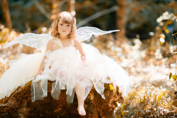 Fairy tale consept. Little toddler girl wearing beautiful princess dress with fairy wings