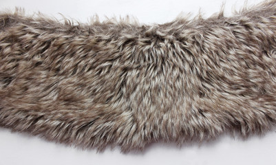 grey-brown fur on white background