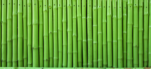 Green Bamboo Fence