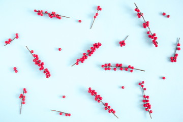 Christmas elegant composition. Red natural berries on pastel blue background. Christmas, New Year, winter concept. Flat lay, top view, copy space