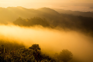 Mountain view with foggy environment