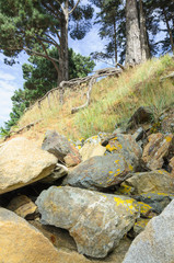 Stone and rocks structure under trees in woods