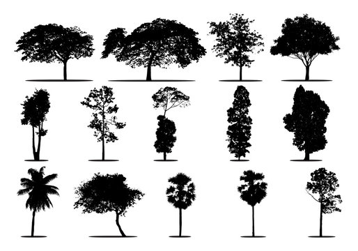 set of tree silhouettes of trees