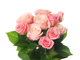 Beautiful bouquet of pink roses on white background