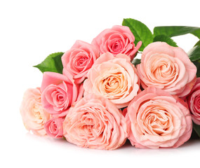 Beautiful bouquet of pink roses on white background