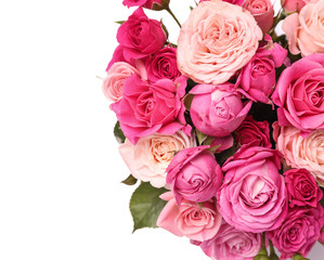 Beautiful bouquet of pink roses on white background