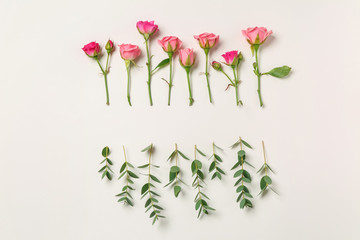 Composition with beautiful pink roses and eucalyptus branches on white background