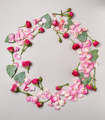 Frame made of beautiful pink roses and eucalyptus leaves on grey background