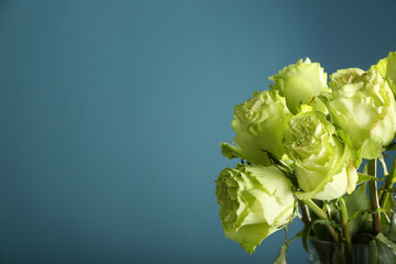 Beautiful bouquet of green roses on color background