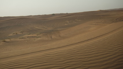 Fototapeta na wymiar wüstenreifenspure