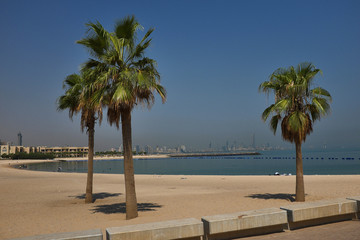 Paesaggio con spiaggia e palme