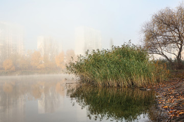 View of foggy pond in autumn morning