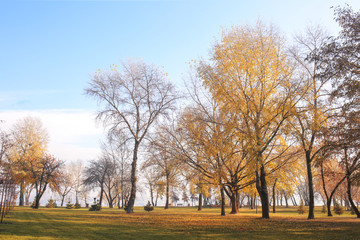 Obraz premium View of autumn park