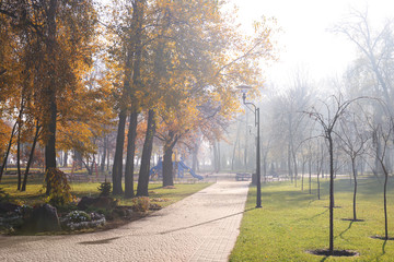 View of foggy autumn park in morning